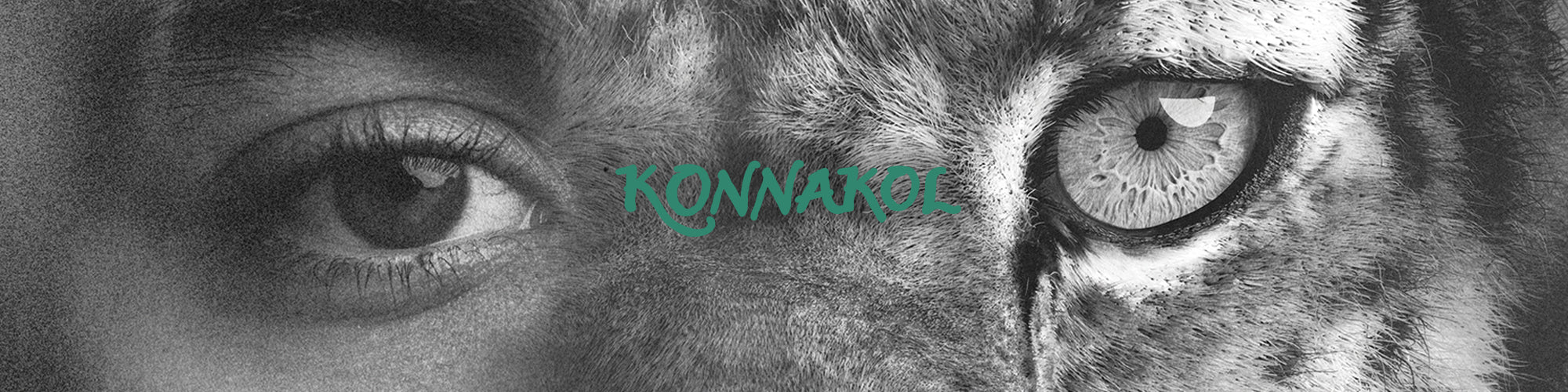 Unapologetic Style, Defined by Zayn